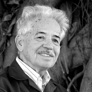 Luis Henrique Dias Tavares