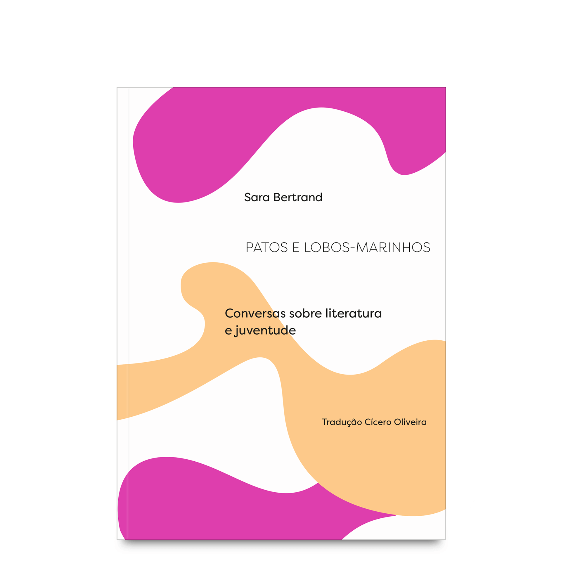 Conversas sobre literatura e juventude